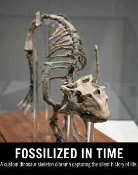 FOSSILIZED IN TIME